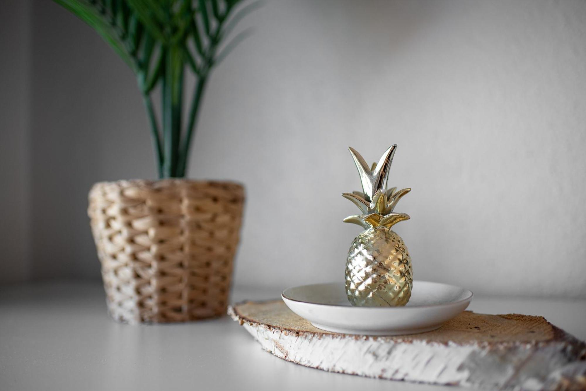 Apartament Cosy T2, Terrasse Privee Et Parking Tuluza Zewnętrze zdjęcie